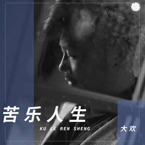 大欢《苦乐人生》歌词