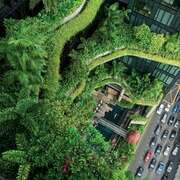 明日之都:新加坡 City of the Future:Singapore