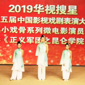 2019华视搜星影视