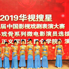 2019华视搜星影视